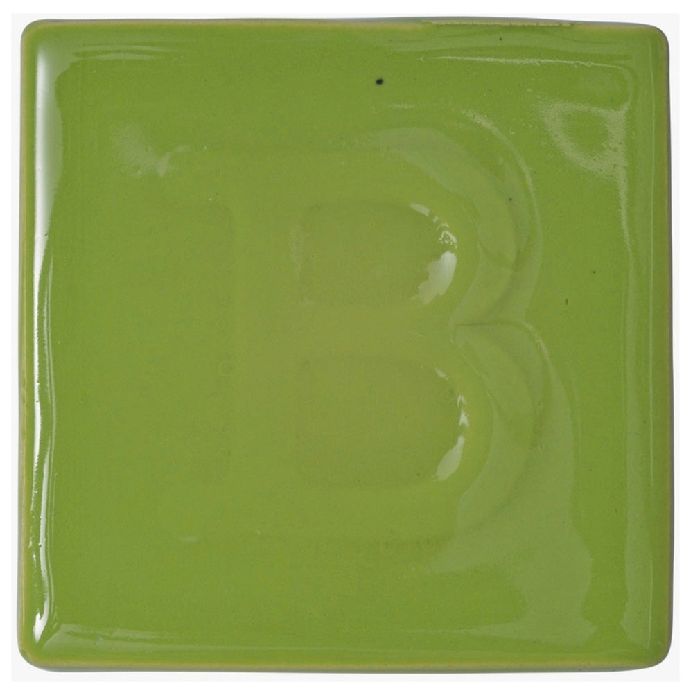 Botz Sır Boyası 200ml Spring Green N:9348