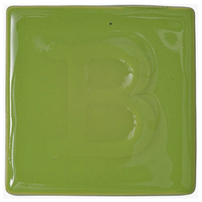 Botz Sır Boyası 200ml Spring Green N:9348