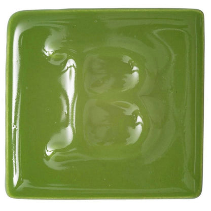 Botz Sır Boyası 200ml Apple Green N:9376