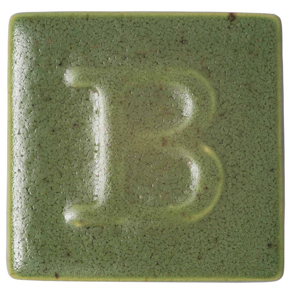 Botz Sır Boyası 200ml Moss Green N:9461
