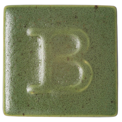 Botz Sır Boyası 200ml Moss Green N:9461