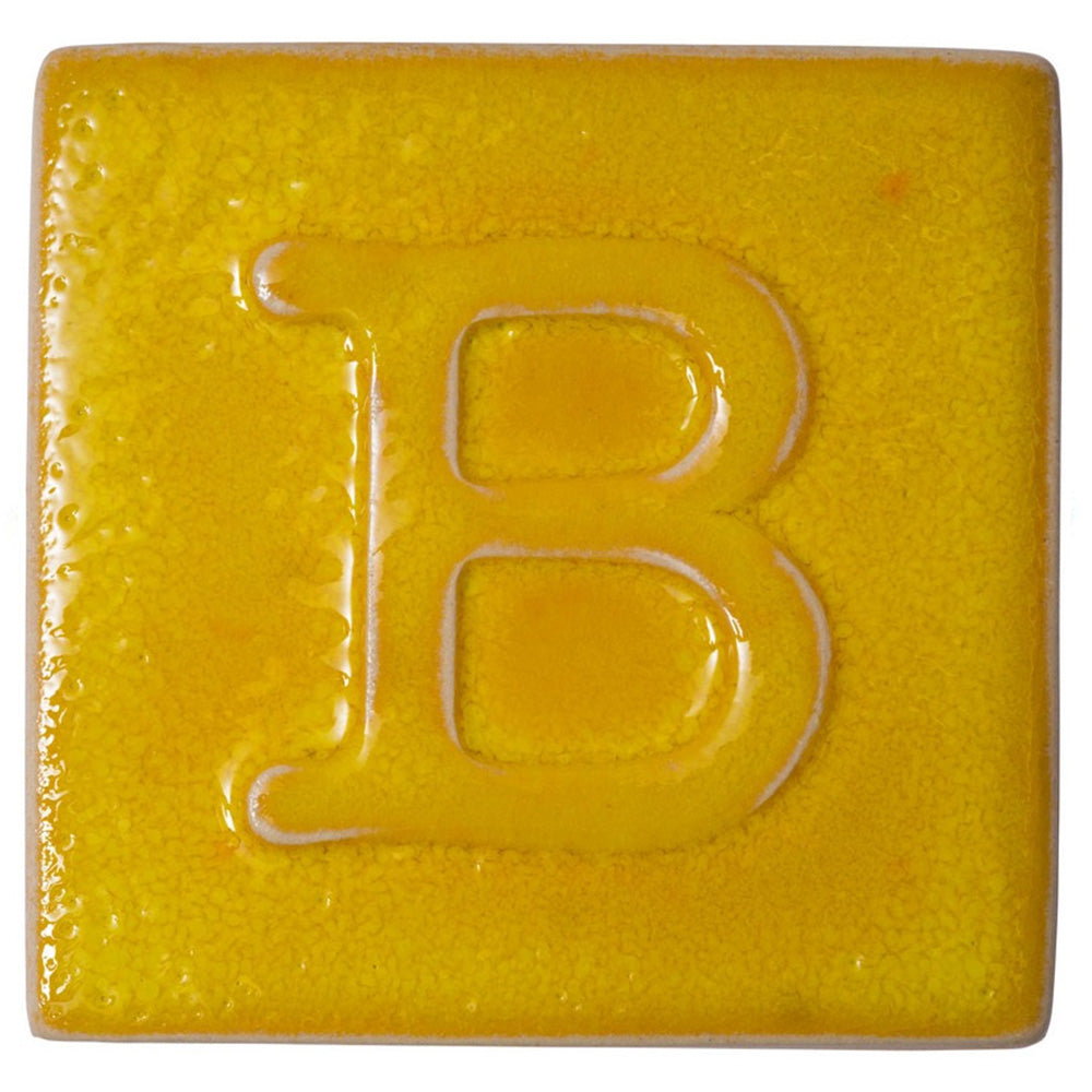 Botz Sır Boyası 200ml Blazing N:9596