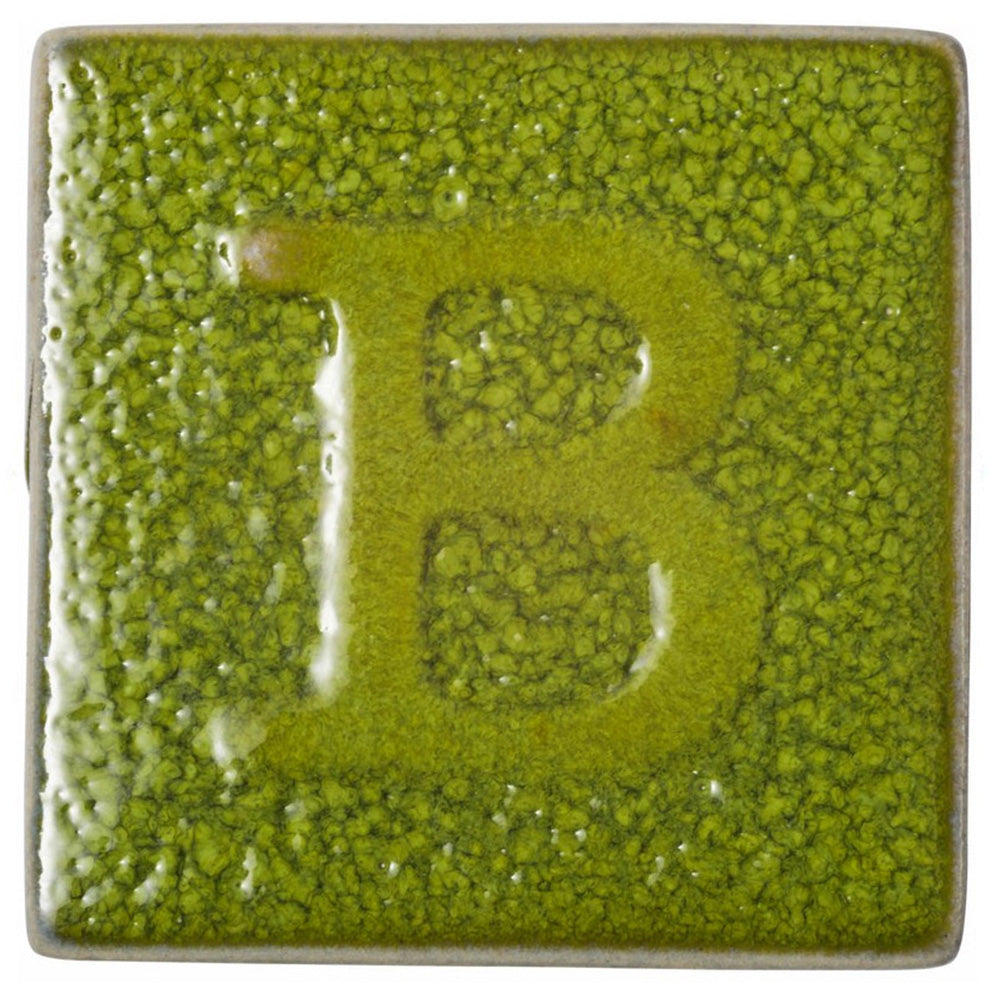 Botz Sır Boyası 200ml Snake Green N:9597