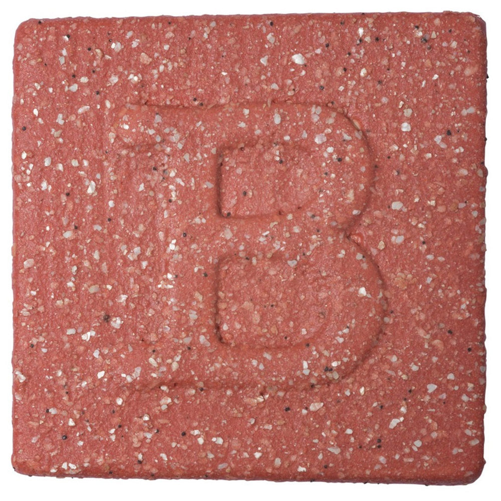 Botz Sır Boyası 200ml Coral N:9645