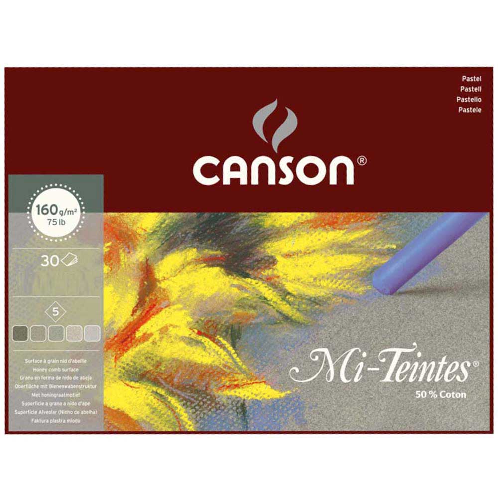 Canson Mi-Tientes 5 Toprak Renk 160gr Pastel Blok 30 Sayfa 24x32cm