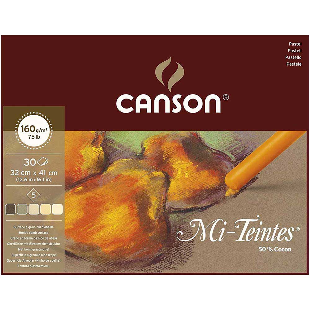 Canson Mi-Tientes 5 Toprak Renk 160gr Pastel Blok 30 Sayfa 32x41cm