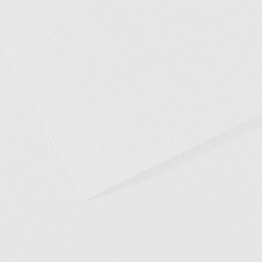Canson Mi-Teintes 160gr 50x65cm White