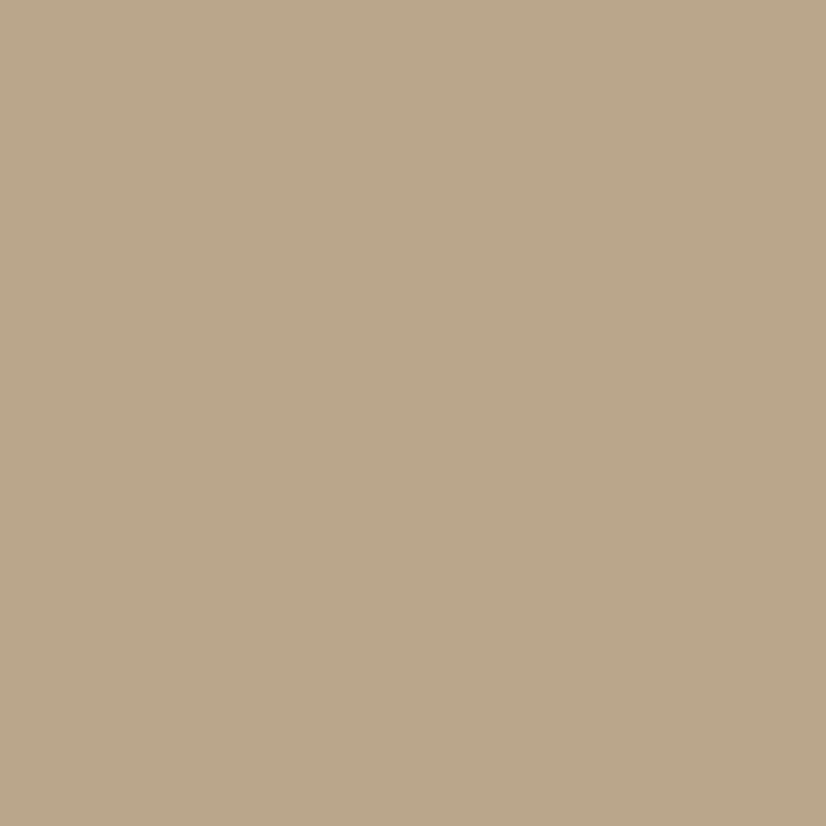Canson Mi-Teintes 160gr 50x65cm Trianon Grey