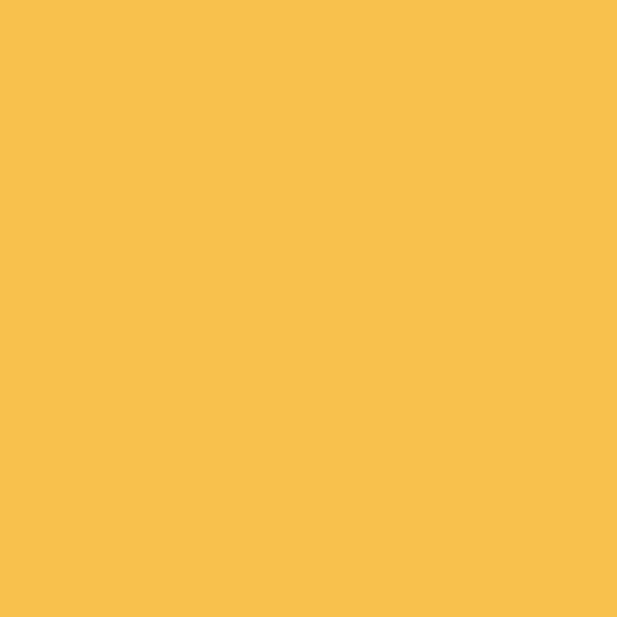 Canson Mi-Teintes 160gr 50x65cm Buttercup