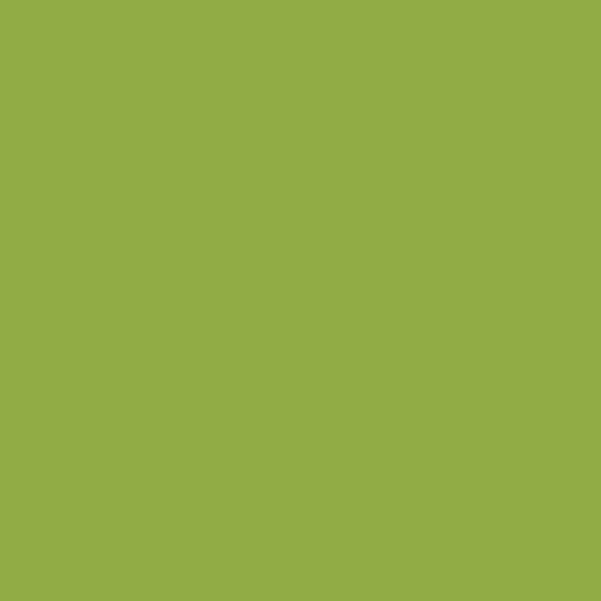 Canson Mi-Teintes 160gr 50x65cm Apple Green