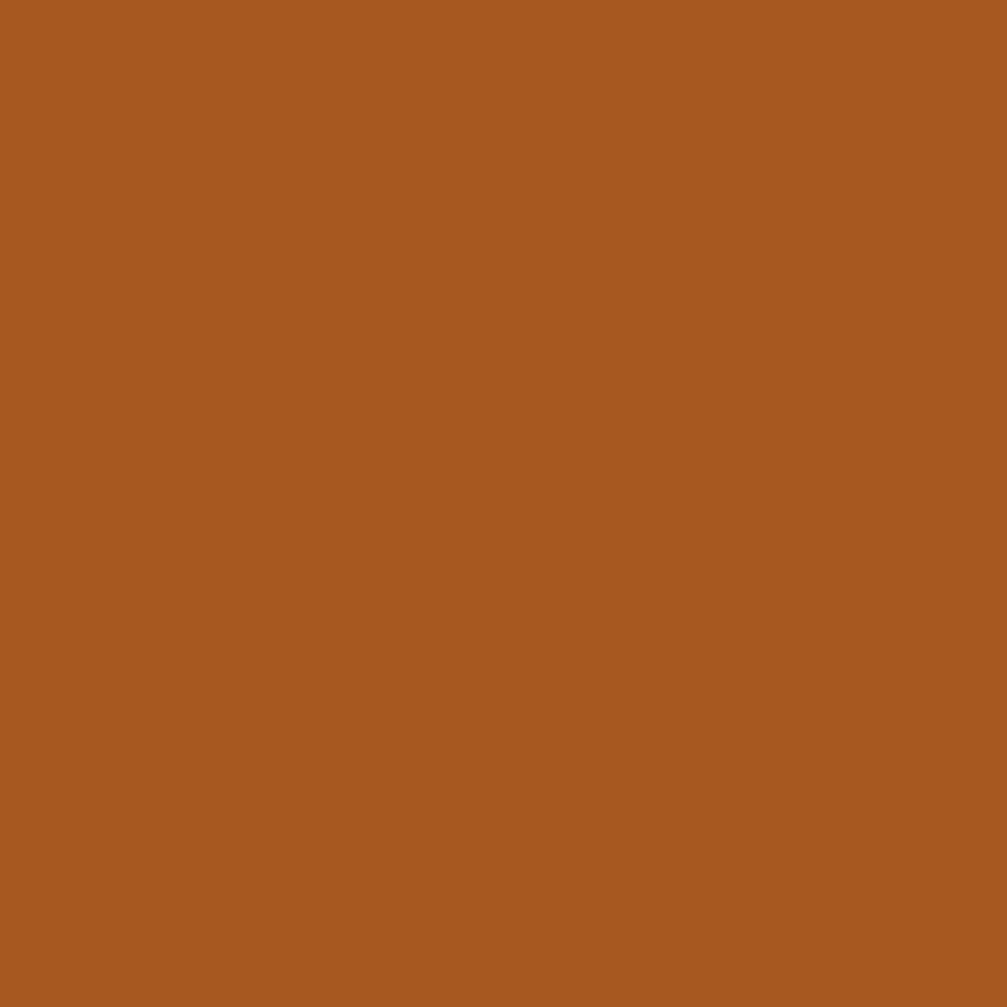Canson Mi-Teintes 160gr 50x65cm Light Havana