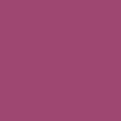 Canson Mi-Teintes 160gr 50x65cm Violet