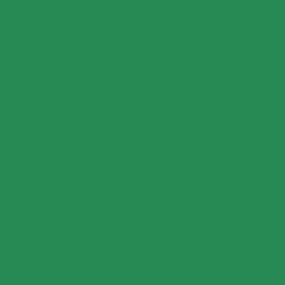 Canson Mi-Teintes 160gr 50x65cm Brilliard Green