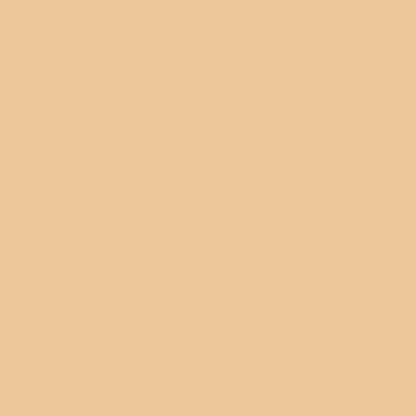 Canson Mi-Teintes 160gr 50x65cm Ivory
