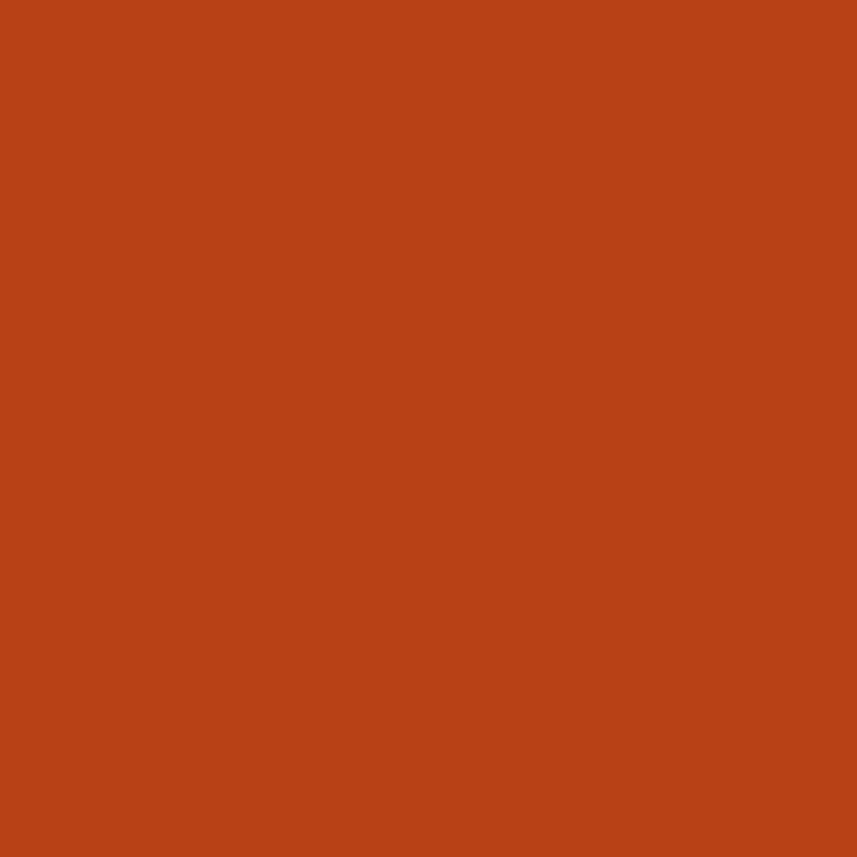 Canson Mi-Teintes 160gr 50x65cm Red Earth