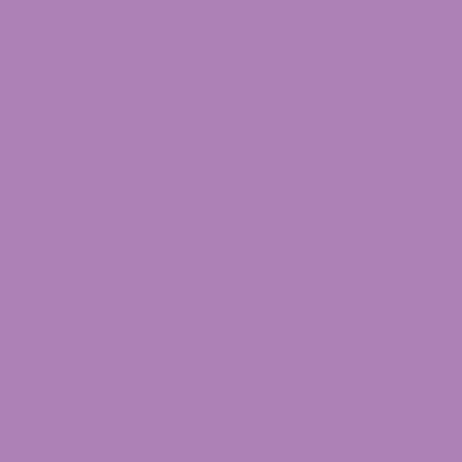 Canson Mi-Teintes 160gr 50x65cm Blueberry