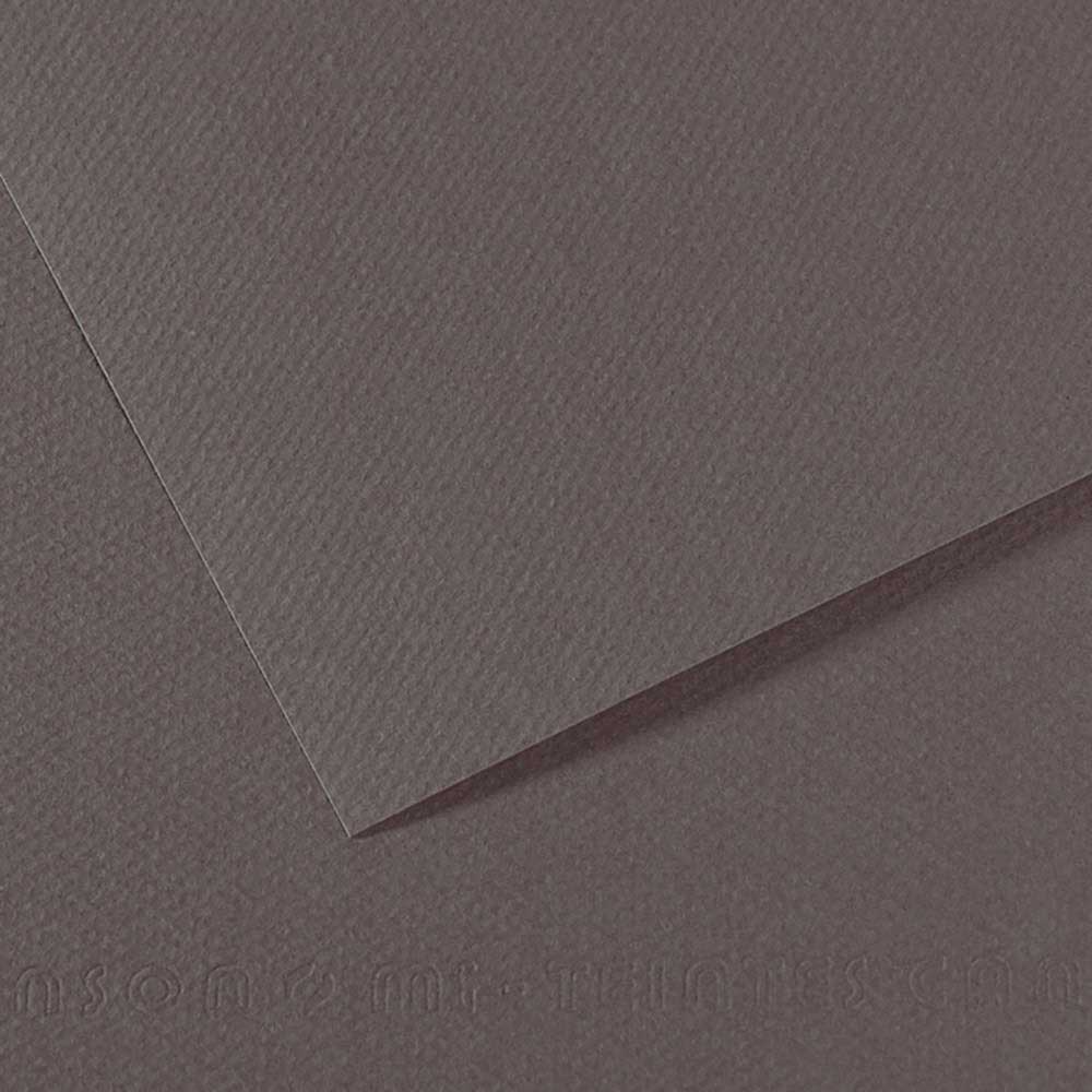Canson Mi-Teintes 160gr 50x65cm Slate Grey
