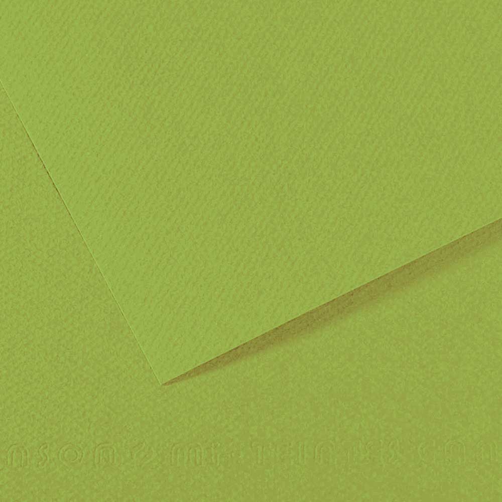 Canson Mi-Teintes 160gr 50x65cm Apple Green