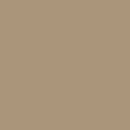 Canson Mi-Teintes 160gr 50x65cm Smoke Grey