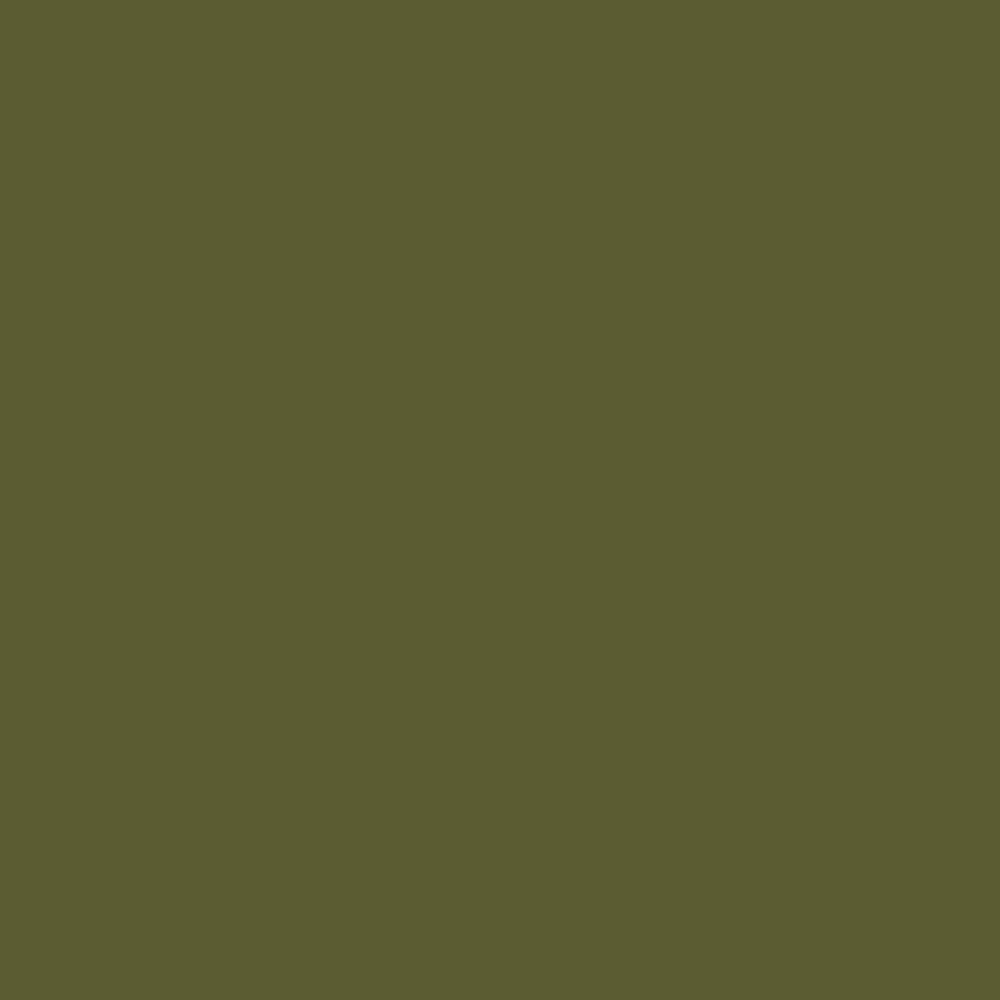 Canson Mi-Teintes 160gr 50x65cm Sea Green