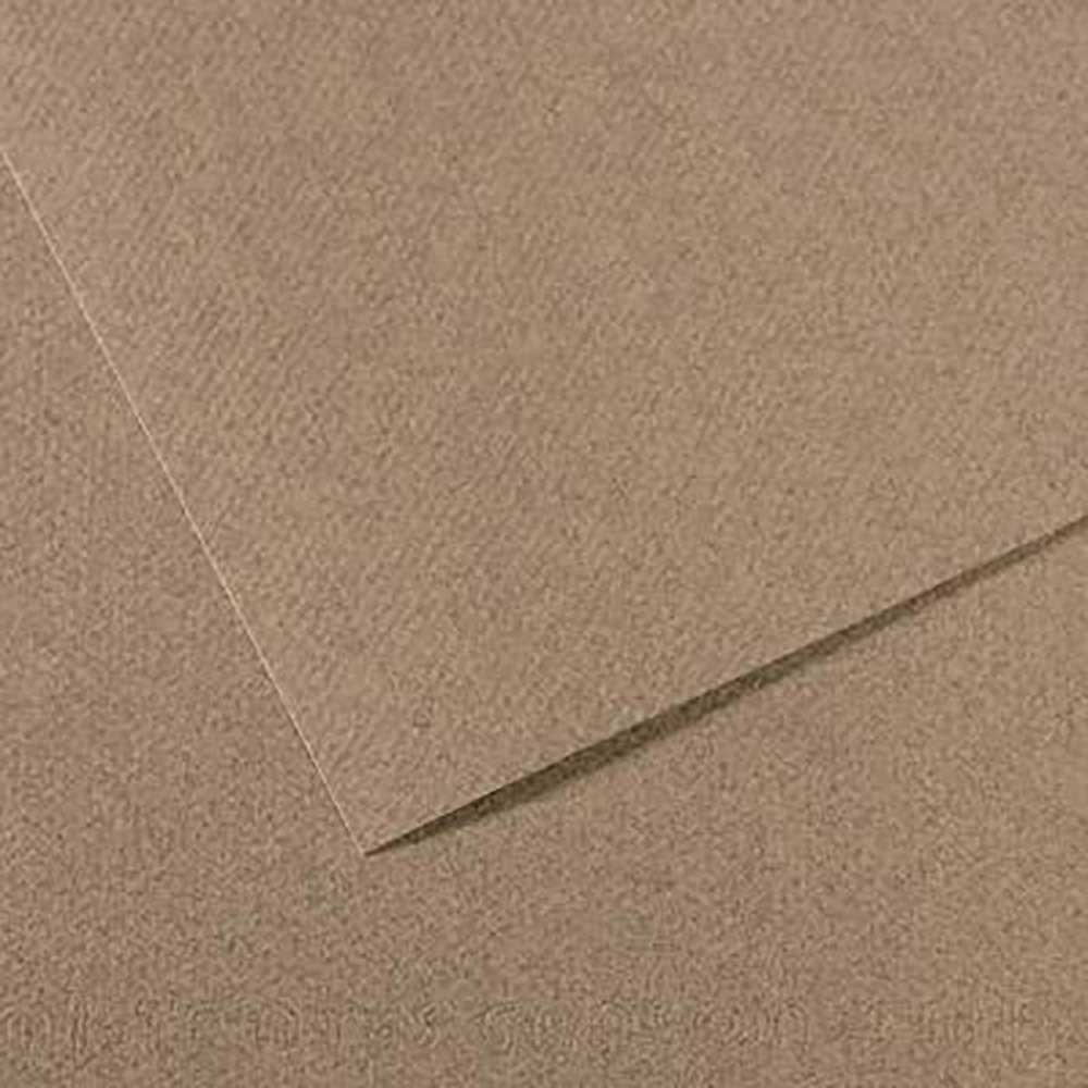 Canson Mi-Teintes 160gr 50x65cm Mottled Grey