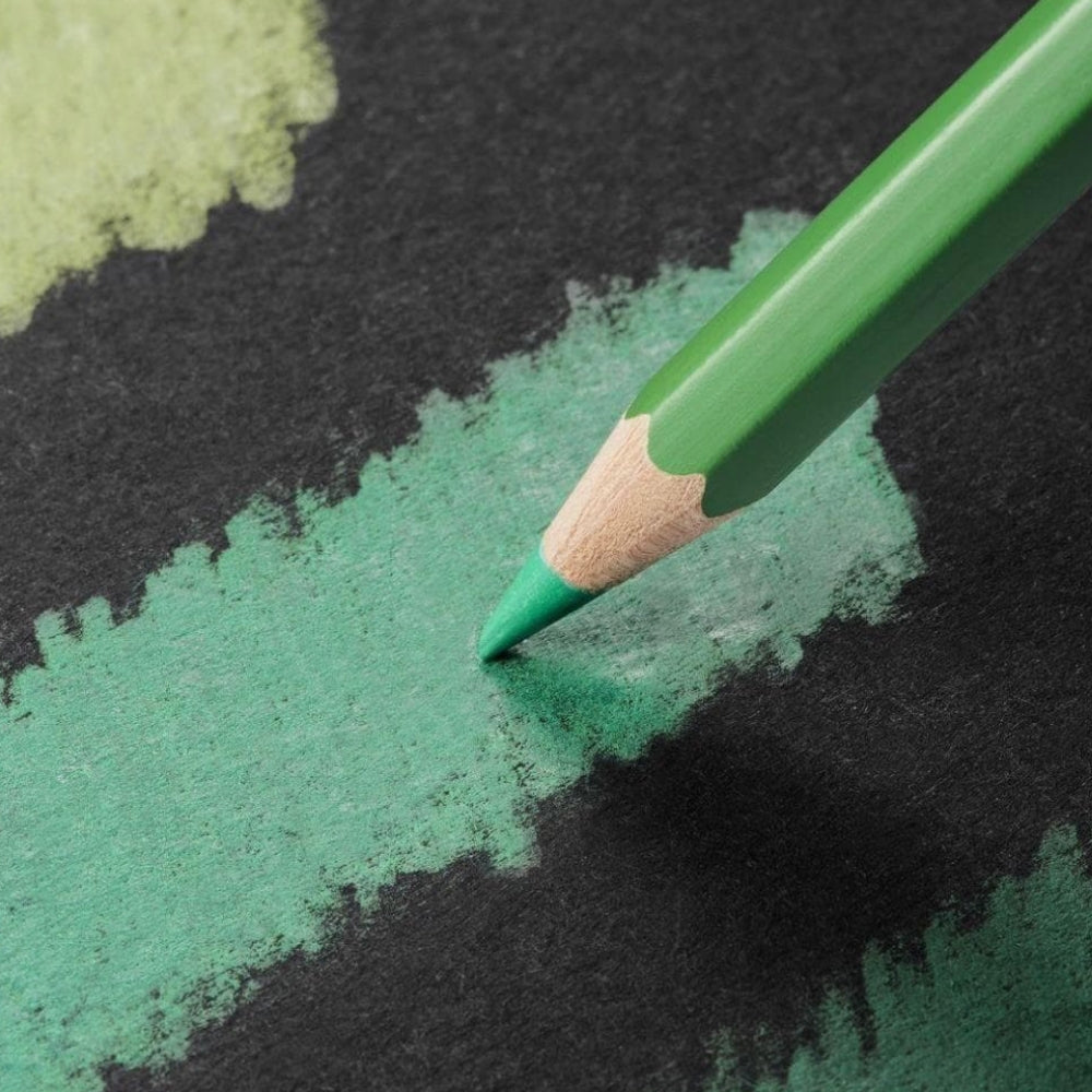 Caran d'Ache Pablo 12'li Set (Kuru Boya Kalemi)