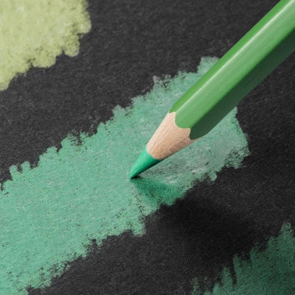 Caran d'Ache Pablo 12'li Set (Kuru Boya Kalemi)