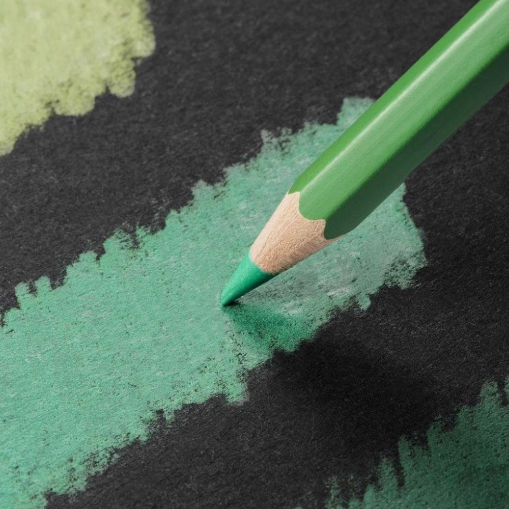 Caran d'Ache Pablo 80'li Set (Kuru Boya Kalemi)