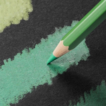 Caran d'Ache Pablo 120'li Set (Kuru Boya Kalemi)