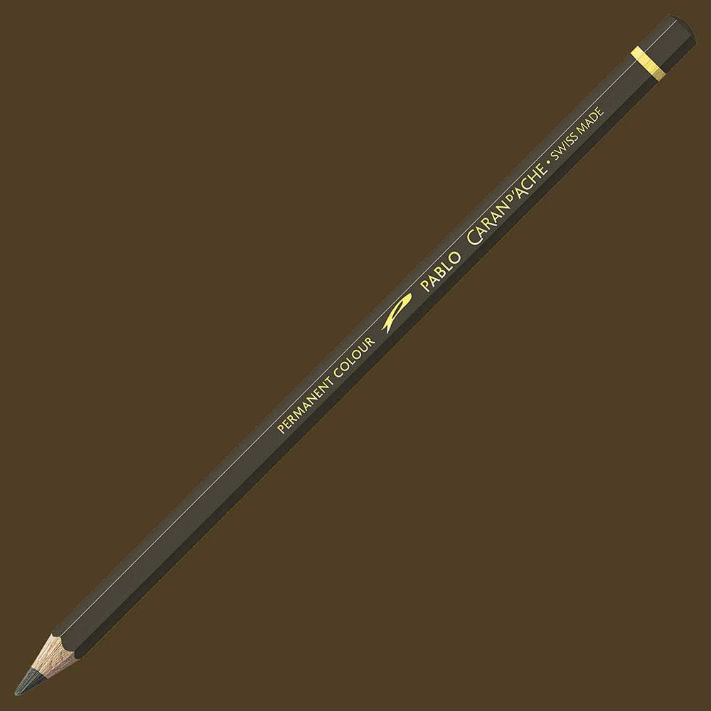 Caran d'Ache Pablo Raw Umber 049