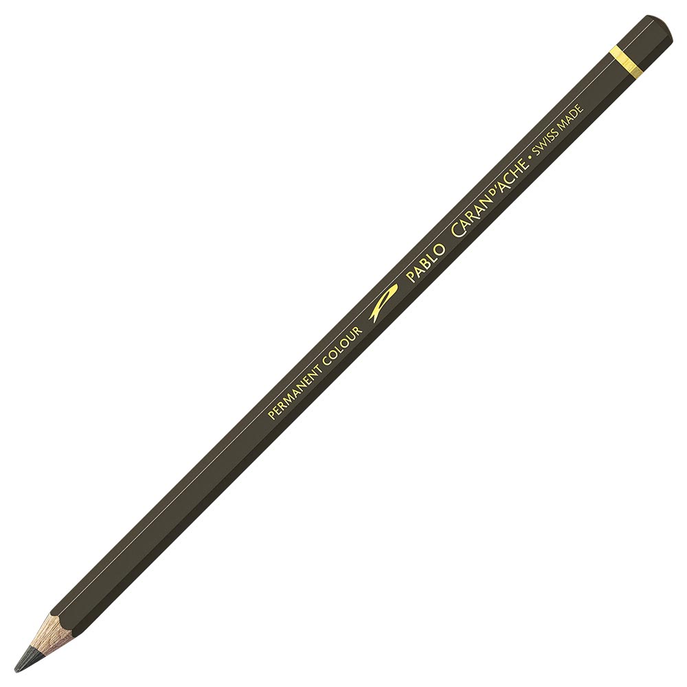 Caran d'Ache Pablo Raw Umber 049
