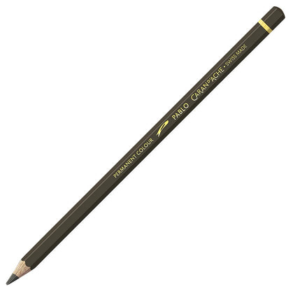 Caran d'Ache Pablo Raw Umber 049
