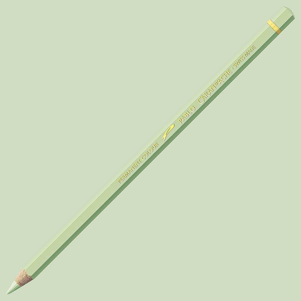 Caran d'Ache Pablo Ash Grey 401