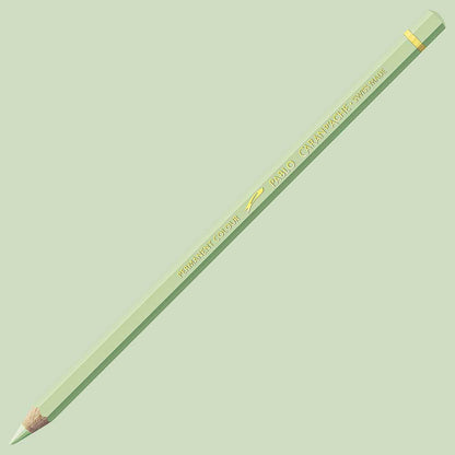 Caran d'Ache Pablo Ash Grey 401