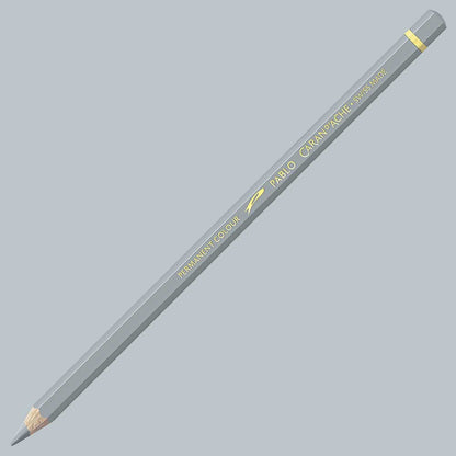 Caran d'Ache Pablo Silver 498
