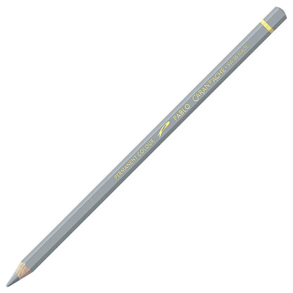 Caran d'Ache Pablo Silver 498