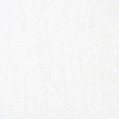 Caran d'Ache Neopastel White 001