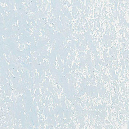 Caran d'Ache Neopastel Silver Grey 002