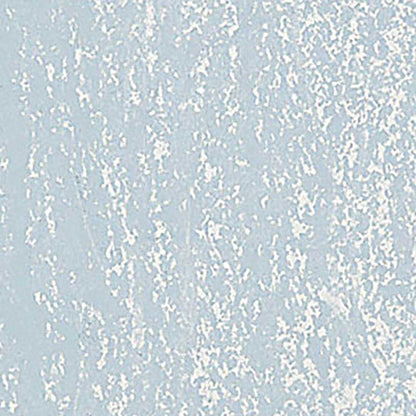 Caran d'Ache Neopastel Light Grey 003