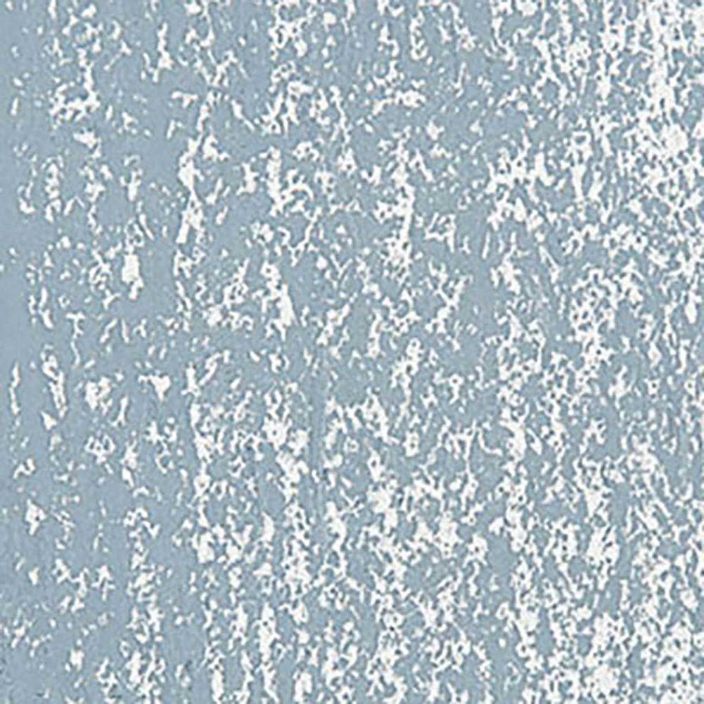 Caran d'Ache Neopastel Steel Grey 004