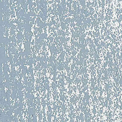 Caran d'Ache Neopastel Steel Grey 004
