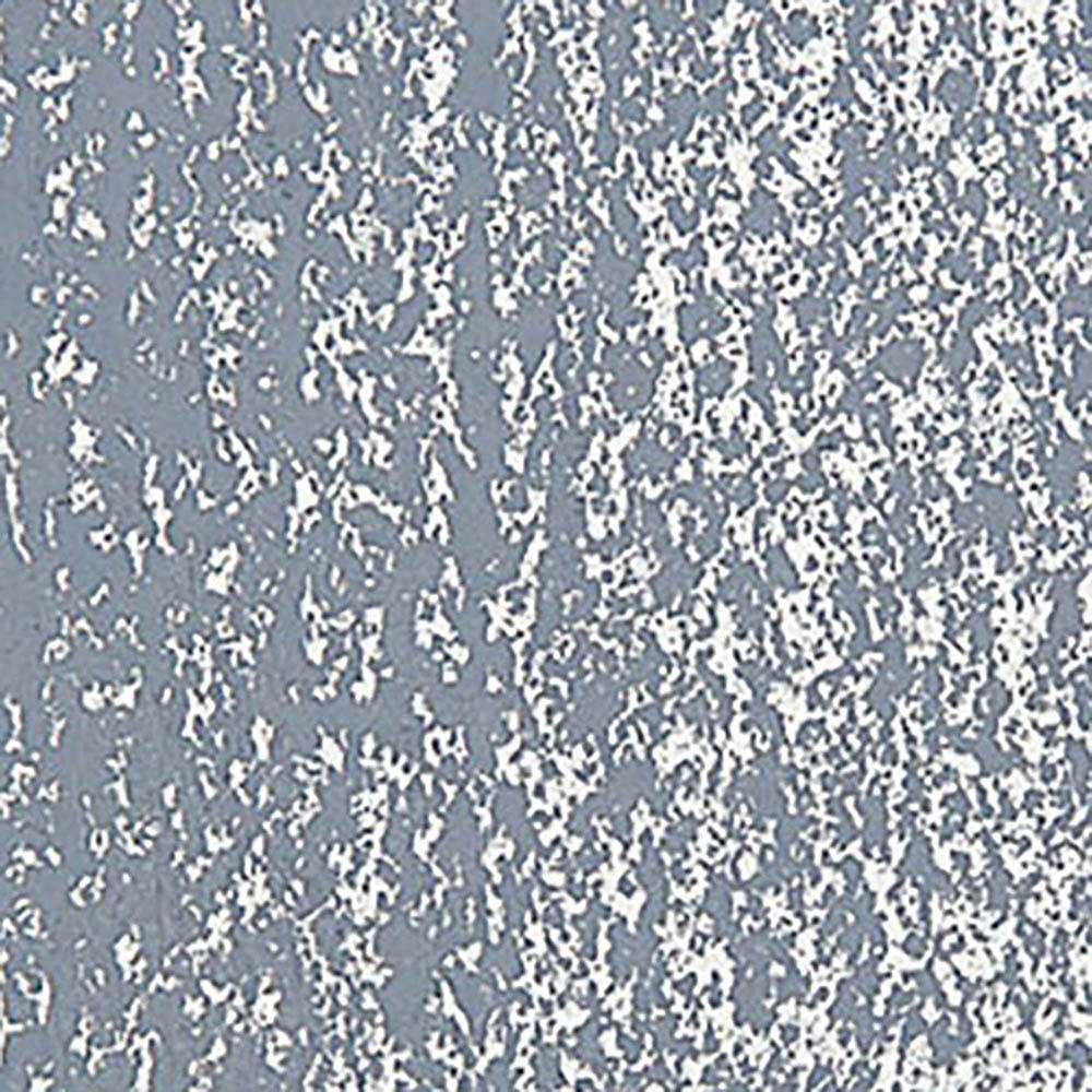 Caran d'Ache Neopastel Grey 005