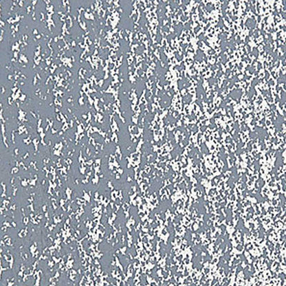 Caran d'Ache Neopastel Grey 005