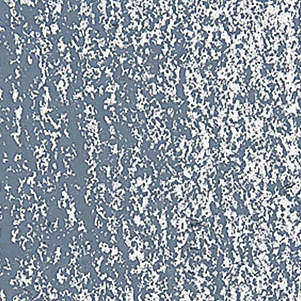 Caran d'Ache Neopastel Dark Grey 007
