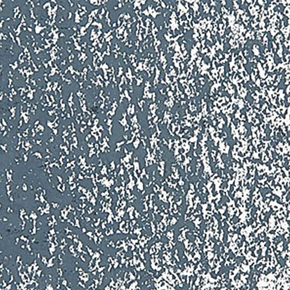 Caran d'Ache Neopastel Greyish Black 008