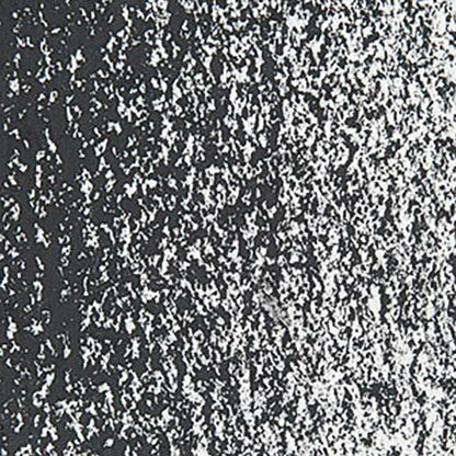 Caran d'Ache Neopastel Black 009