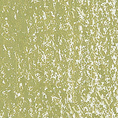 Caran d'Ache Neopastel Khaki Green 016
