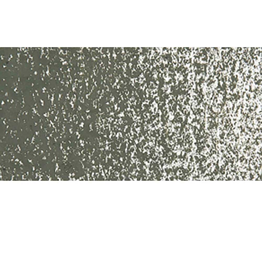 Caran d'Ache Neopastel Olive Black 019