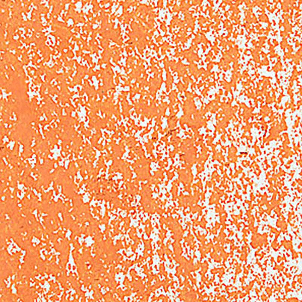 Caran d'Ache Neopastel Reddish Orange 040