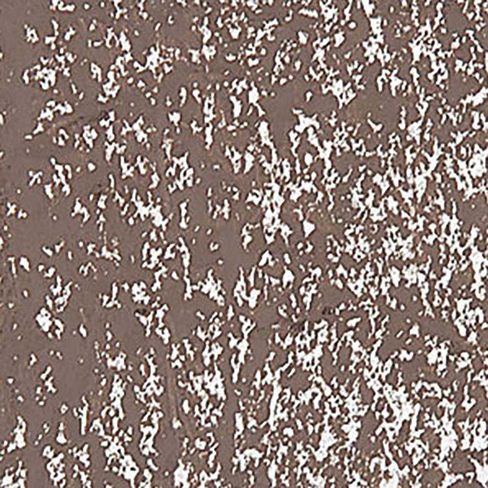 Caran d'Ache Neopastel Vandycke Brown 045